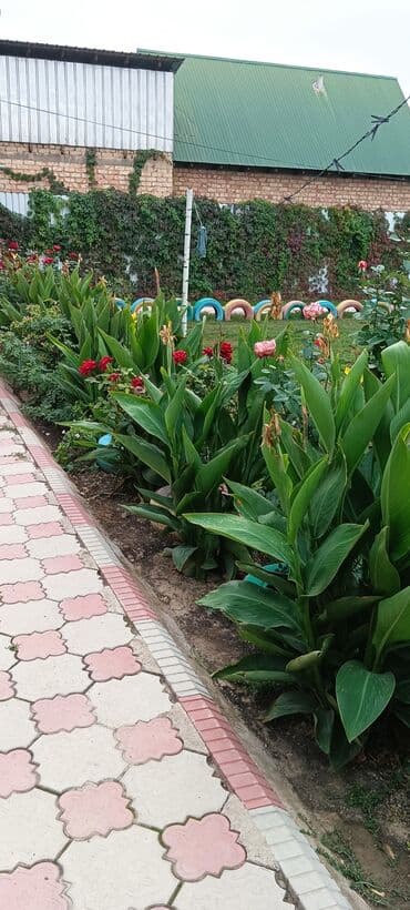 продаю бизнес дом квартирант: Дом, 180 м², 7 комнат, Собственник, Евроремонт — 11