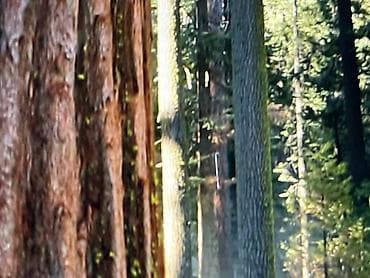 зарядка на apple watch: Для учебы, Apple M1 — 3