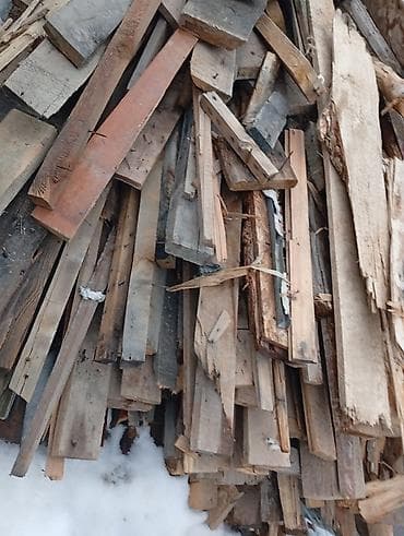 сколько стоит 1 тюльпан в бишкеке: Стройматериалы сатылат бир тамдыкы бу. Балка, Страпила, Половой — 5