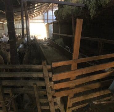 ипотечные дома: Дом, 73 м², 3 комнаты, Собственник — 9