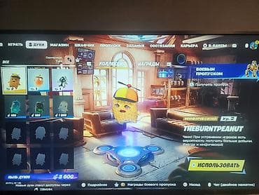 split fiction ps5: Игровой аккаунт/предмет:fortnight — дух THEBURNTPEANUT (мифический — 1