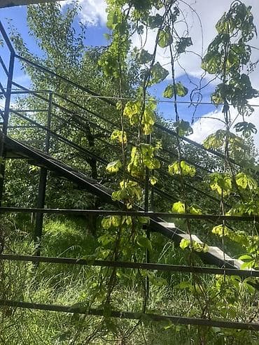 Комнаты: Сдается уютный номер в гостевом доме. Планировка и спальные места — 9
