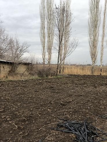 Жер тилкелери: Земельный участок сельскохозяйственного назначения - Ровная открытая — 2