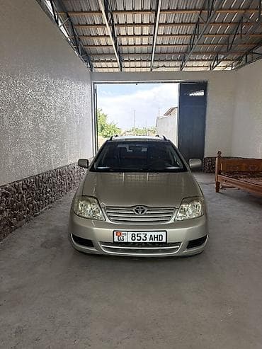 Toyota Corolla: 2004 г., 1.6 л, Механика, Бензин, Универсал
