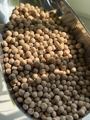 Кондитердик өндүрүмдөр, таттуулар: Цельный горох — сила растительного белка для вашего рациона 🌿 Оптом и — 2