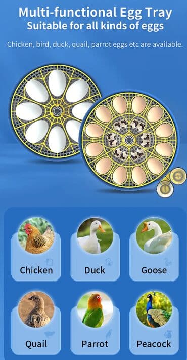 technics rs: Инкубатор на 18 яиц Выход цыплят: 98% ~ 100% Напряжение: 220 В — 6