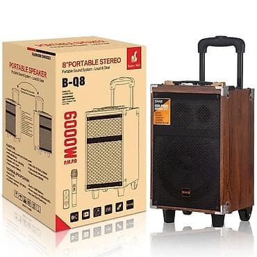 Аудиотехника: Портативная акустическая система BAAB B-Q8 (8" Portable Stereo) - — 1