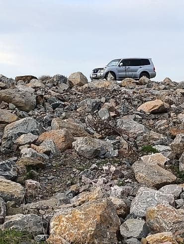 mercedes w210: Mitsubishi Pajero: 2004 г., 3 л, Автомат, Газ, Внедорожник — 8