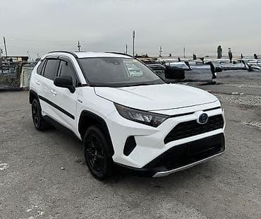 Toyota RAV4: 2019 г., 2.5 л, Гибрид