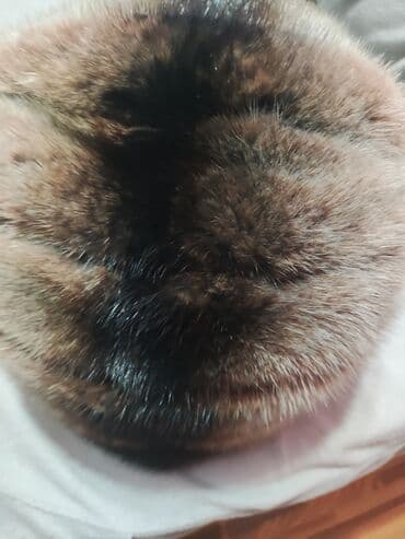 шапка с ушками которые поднимаются купить: Шапки — 4