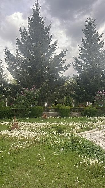 комнаты на ыссык куле: Студия, С мебелью полностью — 2
