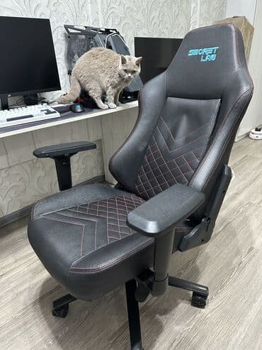 Офисные шкафы: Игровое кресло Secretlab, кресло очень удобное и дорогое. Покупал за — 1