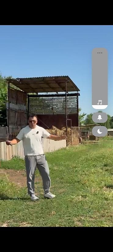 митсубиси степ вагон: А селе Чалдыбар продаётся большой участок 20 соток с хоз пристройками — 3