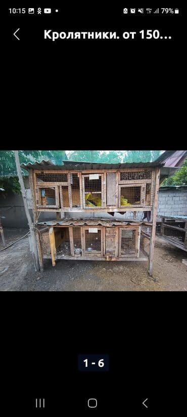 Кролятники (многоярусные клетки для кроликов) - Конструкция