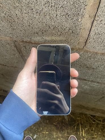 xbox games: IPhone 13 Pro, 256 ГБ, Серебристый — 3