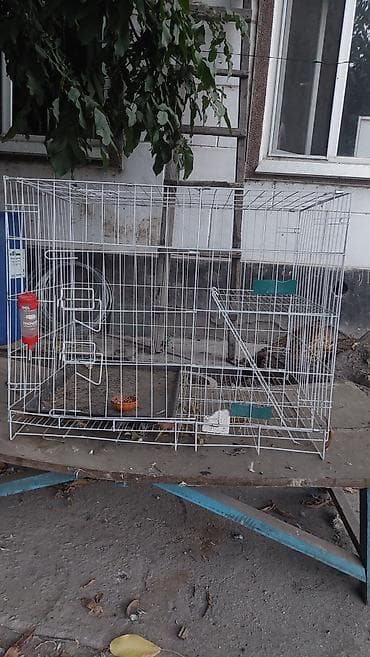 Большая металлическая клетка для домашних животных - Просторная