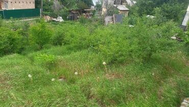 бизнес дом бишкек: 5 соток, Для строительства, Договор купли-продажи, Красная книга, Тех паспорт — 3