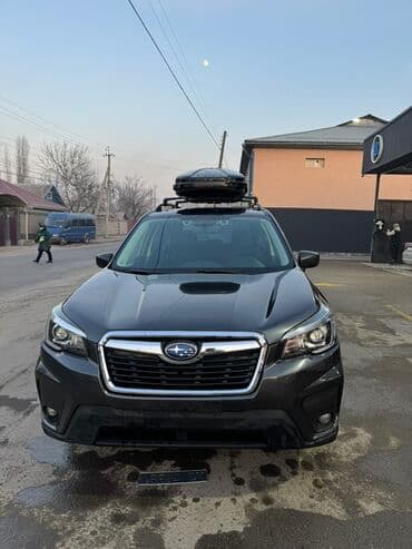 кофр на крышу автомобиля: Subaru Forester: 2019 г., 2.5 л, Кроссовер — 5