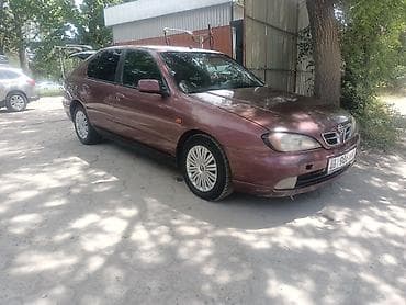 продаю корзину: Nissan Primera Camino: 2001 г., 1.8 л, Механика, Бензин, Лифтбек — 4