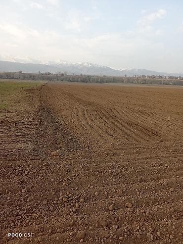 дачный участок кант: 3075 соток, Красная книга, Тех паспорт — 3