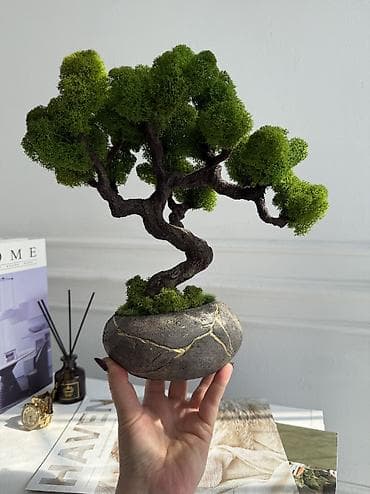 Миниатюрная Интерьерная Композиция Декор для дома и офиса «Бонсай» из