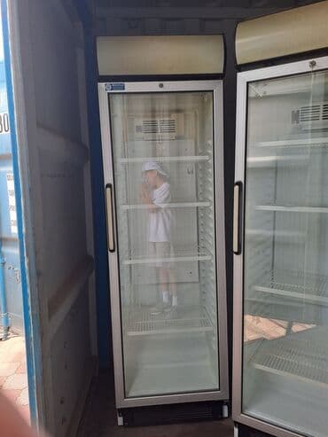 холодильник муздаткыч: Муздаткыч Бир камералуу, De frost (тамчы) — 2