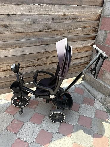 Детский транспорт: Детский трехколесный велосипед–коляска Startos Trike (черный) — 3