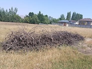 Отун дравы продаю цена договорная