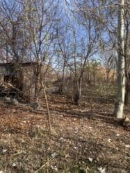 клубный дом карвен: 17 соток, Для сельского хозяйства, Красная книга — 8