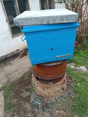 матки пчел: Пчелиный улей с металлической кровлей 12 рамок. дадан. в наличии 10 — 1