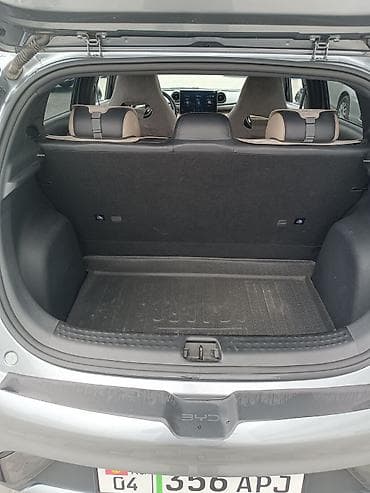 lt 46: BYD Dolphin: 2023 г., Электромобиль, Хэтчбэк — 6