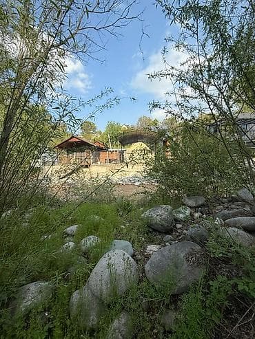 6 соток, Для сельского хозяйства, Договор купли-продажи, Красная книга — 5