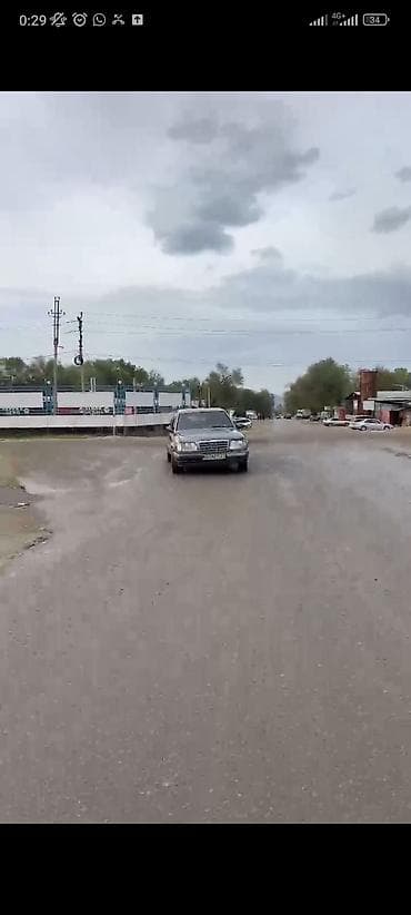 дерево на 124: Mercedes-Benz W124: 1993 г., 3.2 л, Механика, Бензин, Седан — 9