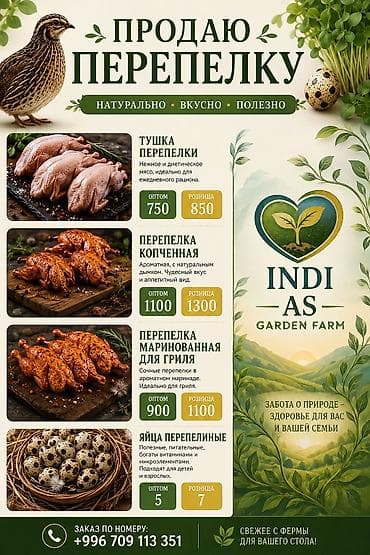 натуральный мёд: Перепела и перепелиные яйца от INDI AS Garden Farm ТРАССА БИШКЕК — 1