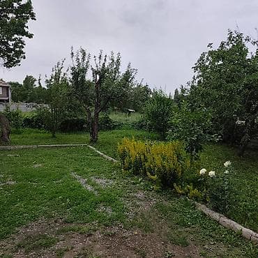 дома с большим участком: 4 соток — 2