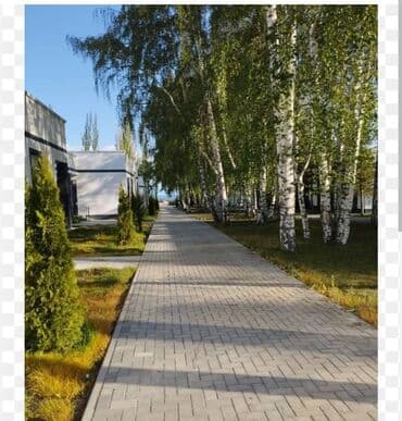 центр отдыха улитка иссык куль: Коттедж, Цо Атлантис Барбекю, Коргоодогу аймак, Унаа токтотуучу жай, унаа туруучу жай — 12