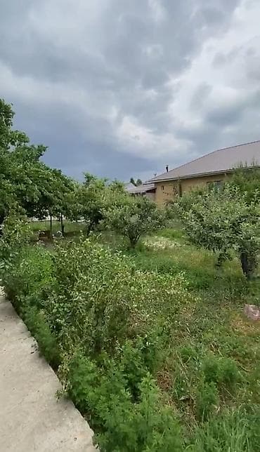 Кыймылсыз мүлк: 6 соток, Курулуш, Кызыл китеп, Техпаспорт — 5