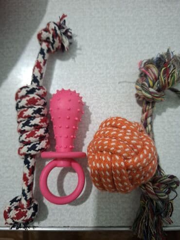 игрушечный пудель: Добрая ласковая девочка Молли (дворняшка с помесью ) Лоток для — 5