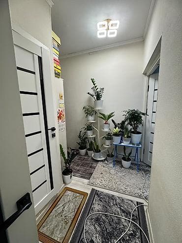 105: 1 комната, 34 м², 105 серия, 5 этаж — 4
