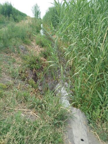 продаю дом бишкек сокулук: 500 соток, Айыл чарба үчүн, Кызыл китеп — 8