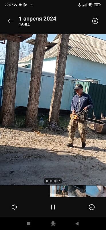 Тынар гарантия 100%., спилю деревья,, любой сложности#1 _тынар супер