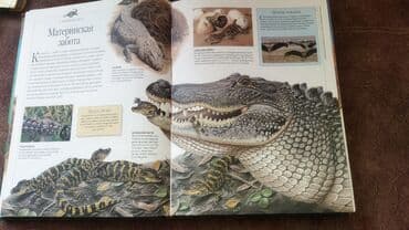 камуфляж форма бишкек: Продаю энциклопедию . 400 страниц в хорошем состоянии. твердый — 12