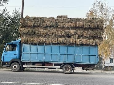 к 700 трактор: Заказать Мерседес Гигант, Перевозка скота, C грузчиком — 6