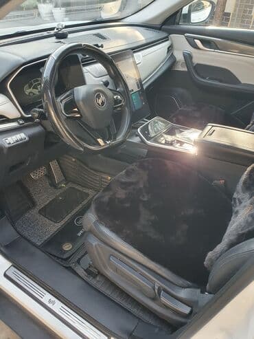 ош машине: Weltmeister EX5, 2020 г., 60000 км, Алдыңкы, Бар — 8