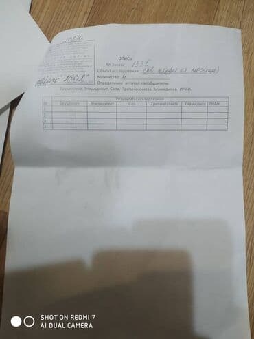 чебурашка бишкек: Домашнее Козье молоко. Экологически чистый продукт. Находимся в — 5
