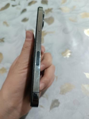 google pixel 4xl: IPhone 13 Pro Max, Б/у, 1 ТБ, Графит, 74 % — 8