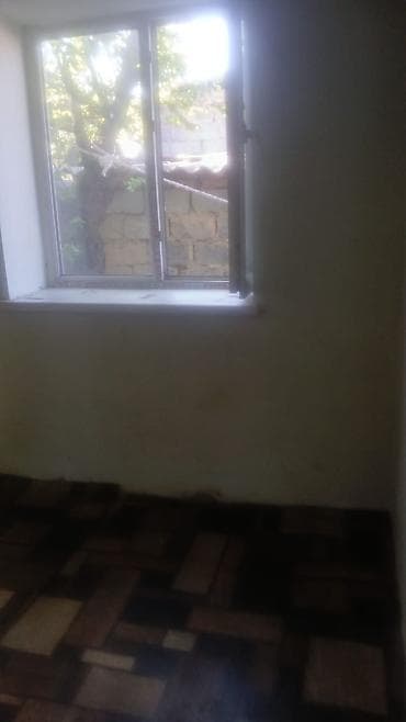 курулуш материалы: 1 бөлмө, Чогуу жашоосу жок, Эмерексиз — 3