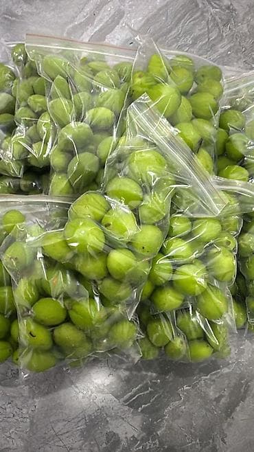 мөмө жемиш: Зелёные алычи (недозрелая слива) — мелкие плоды ярко‑зеленого цвета — 1