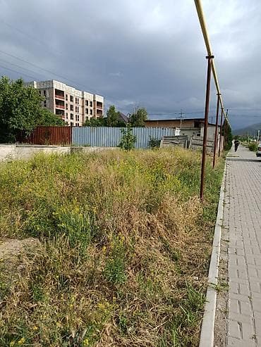 6 соток, Кызыл китеп