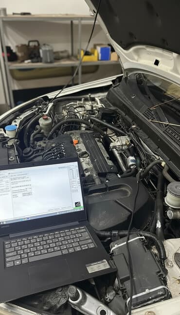 стрижка кошек на дому: ГБО — 1